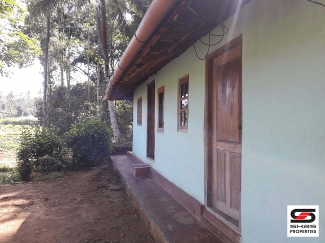 Land with house for sale in Kenichira, Wayanad