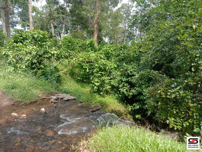 Resort land for sale near Mananthavady,Wayanad