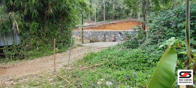 Plot for sale in Old Vythiri, Wayanad