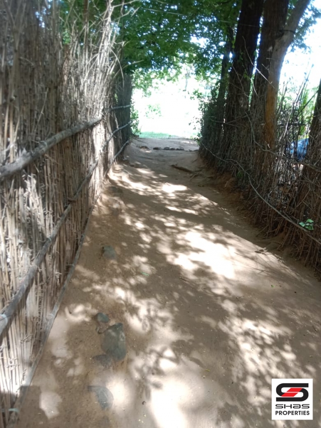27 Cent house plot for sale In Pallassana, Palakkad