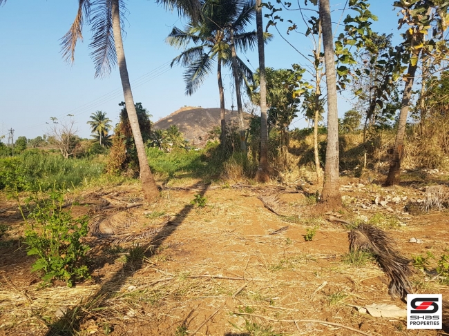 Farmland for Sale at Elevancherry, Palakkad