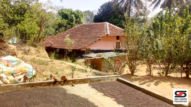 Farmland with farmhouse in Virajpet, Coorg for sale