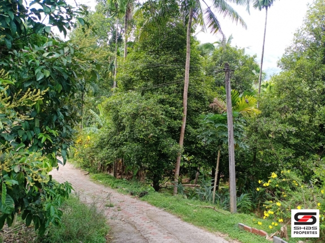 Land with house for sale in Paingottoor, Ernakulam