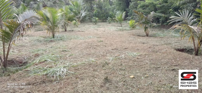 House plot for sale at Pathiripala, Palakkad