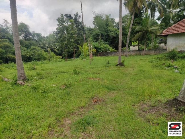 Plot for sale in Thenkurissi, Palakkad