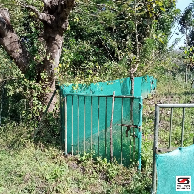 River view plot for sale at Pulpally, Wayanad