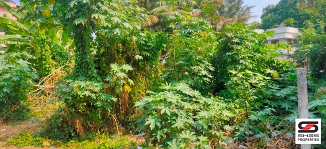 10 Cent house plot for sale in Koppam, Palakkad
