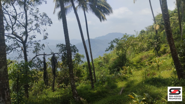 Land for sale in Paithalmala, Kannur