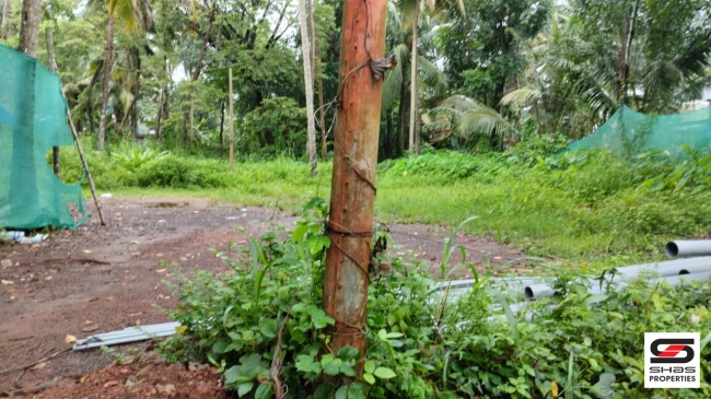 Plot for sale near Pallikunnu, Kannur