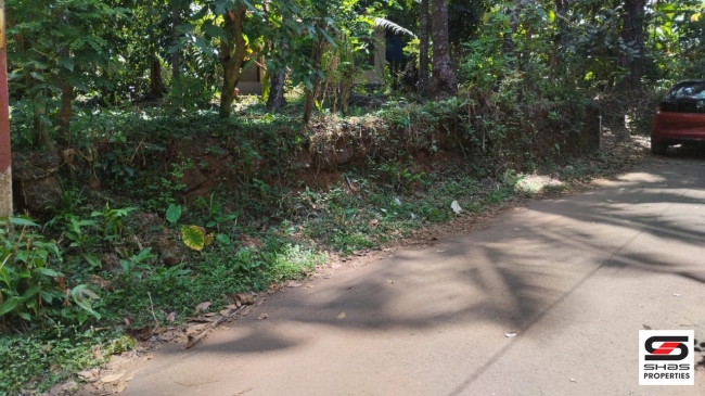 House plot for sale in Alavil,Kannur