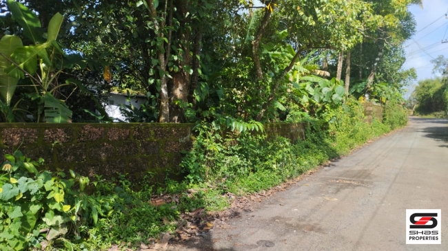 House plot for sale at Chala, Kannur