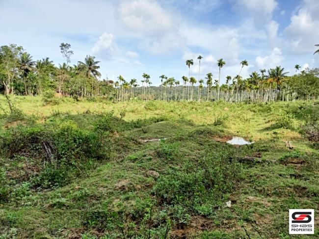 River view land for sale in Pulpally, Wayanad