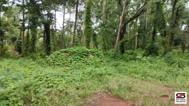 Residential plot for sale in Pallikunnu,Kannur