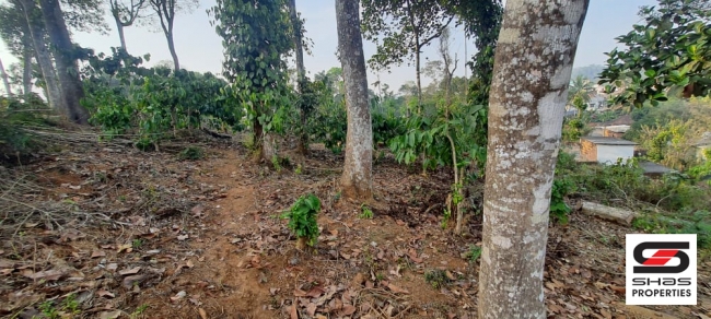 Land for sale near Vythiri, Wayanad