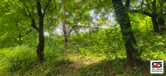 Resort land for sale near Malampuzha, Palakkad