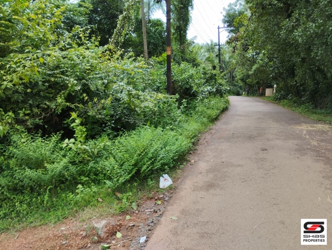 Plot for sale at Chala, Kannur