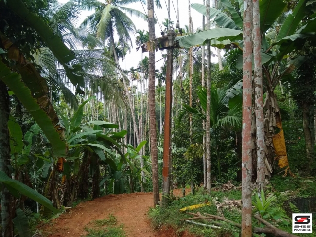 Land for sale at Panampilavu, Malappuram