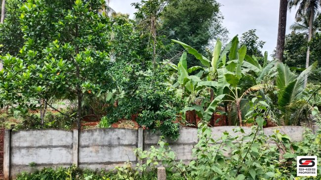 Plots for sale in Ottappalam, Palakkad