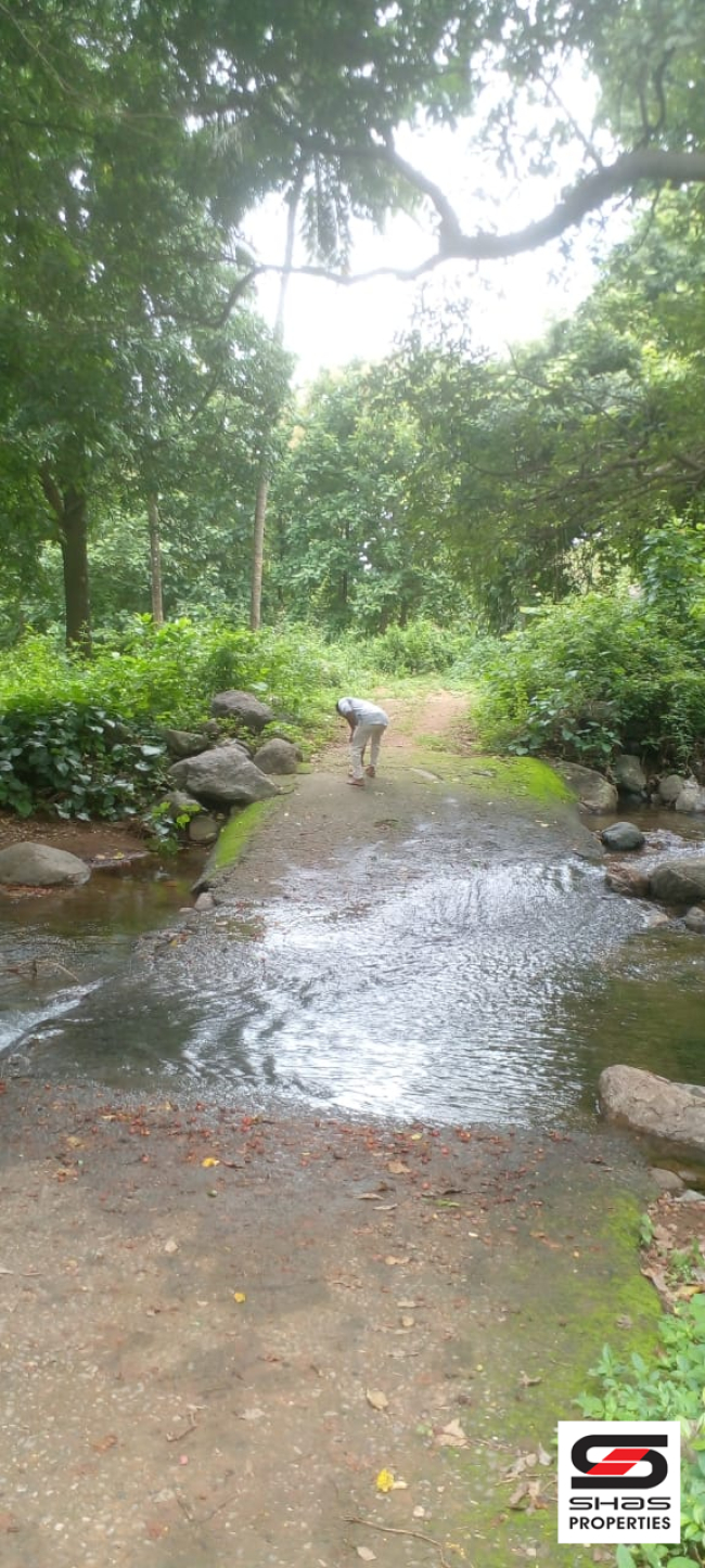 Resort land for sale at Mannarkkad, Palakkad 