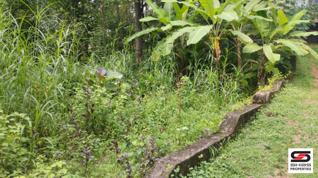 Plot for sale in Mundayad, Kannur