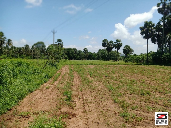 7 Acres land for sale in Velanthavalam, Palakkad