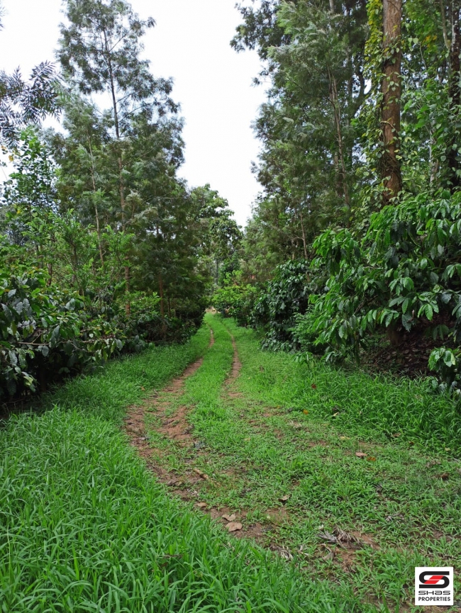 Mixed farmland for sale in Coorg, Karnataka