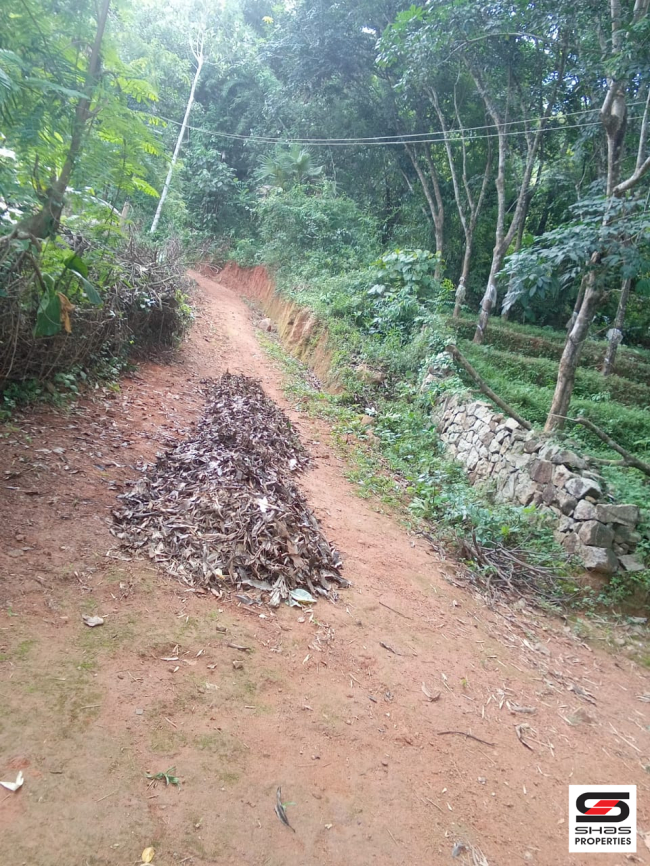Land with 2 BHK house for sale in Kadampazhipuram, Palakkad
