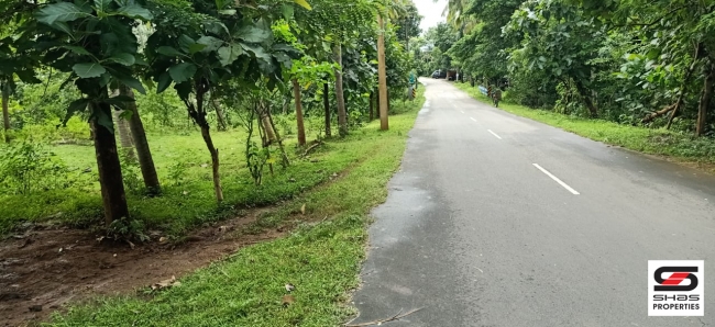 Farmland for sale in Malampuzha, Palakkad