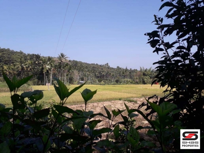 Land with house for sale in Kenichira, Wayanad