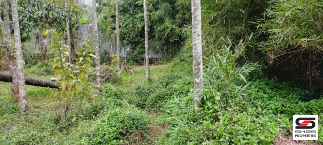 Plot for sale in Old Vythiri, Wayanad
