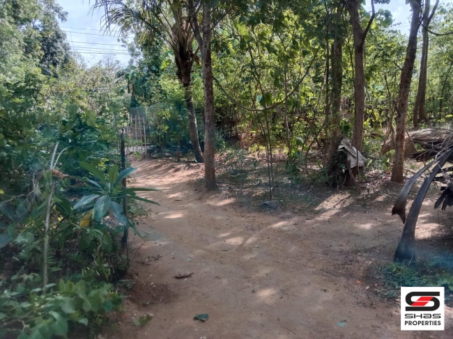 27 Cent house plot for sale In Pallassana, Palakkad