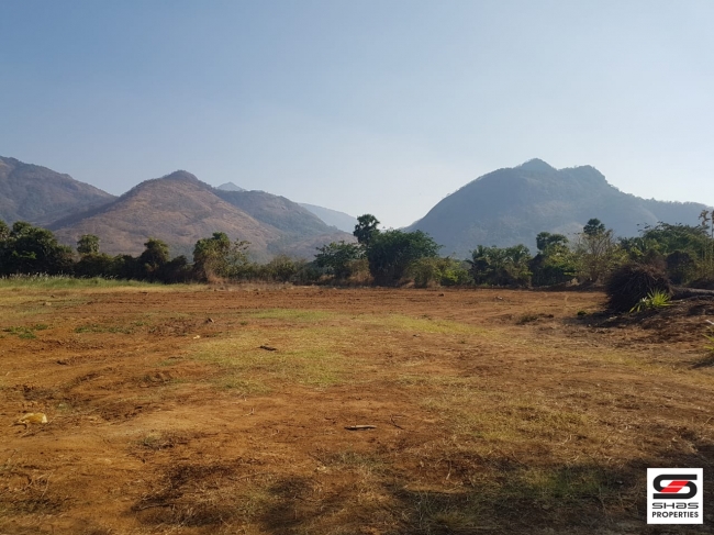 Farmland for Sale at Elevancherry, Palakkad