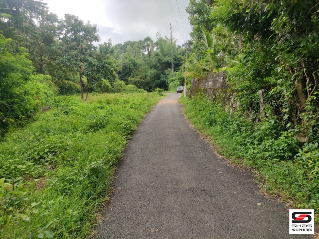 Plot for sale in Thenkurissi, Palakkad