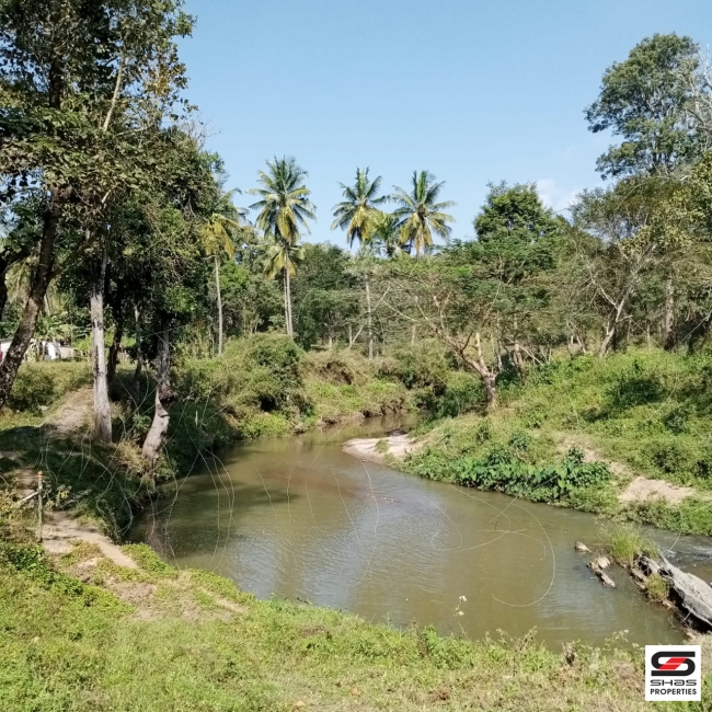 River view plot for sale at Pulpally, Wayanad