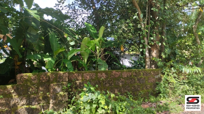 House plot for sale at Chala, Kannur
