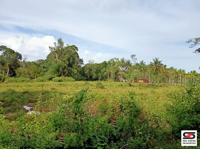 River view land for sale in Pulpally, Wayanad