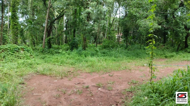 Residential plot for sale in Pallikunnu,Kannur
