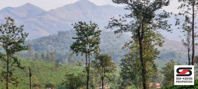 Land for sale near Vythiri, Wayanad
