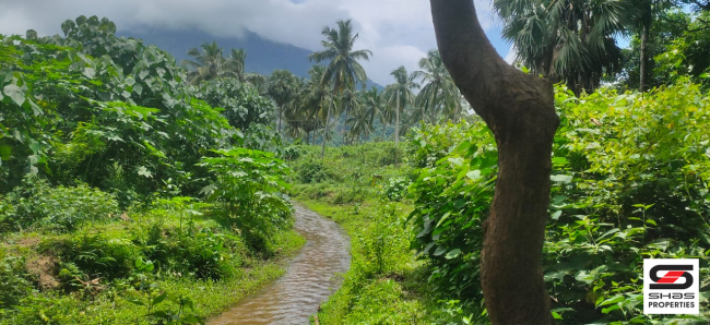 Resort land for sale near Malampuzha, Palakkad