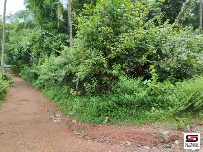 Plot for sale at Chala, Kannur