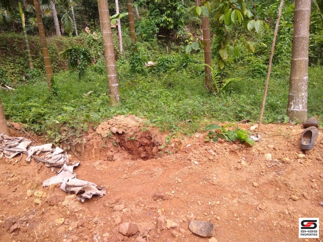 Land for sale at Panampilavu, Malappuram