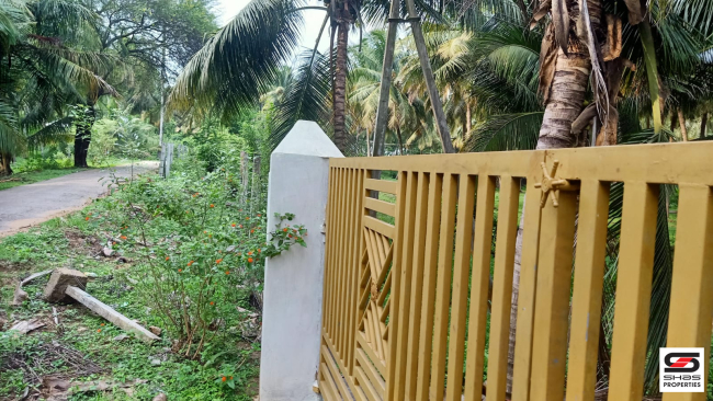 1 Acre farmland for sale in Ozhalapathy, Palakkad