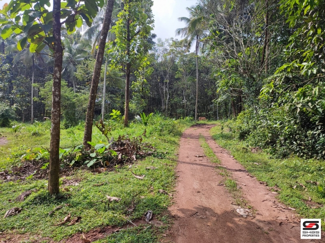 Land with traditional house for Sale at Mannarkad, Palakkad