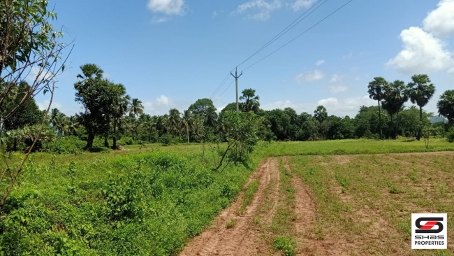 7 Acres land for sale in Velanthavalam, Palakkad