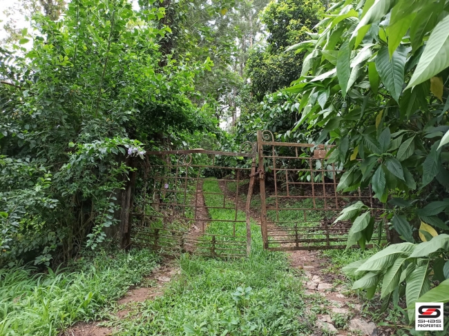 Mixed farmland for sale in Coorg, Karnataka