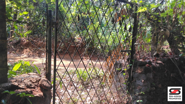 4.5 Acre plot for sale in Chelakkara, Thrissur