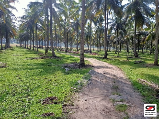 Farmland for sale in Pulpally, Wayanad