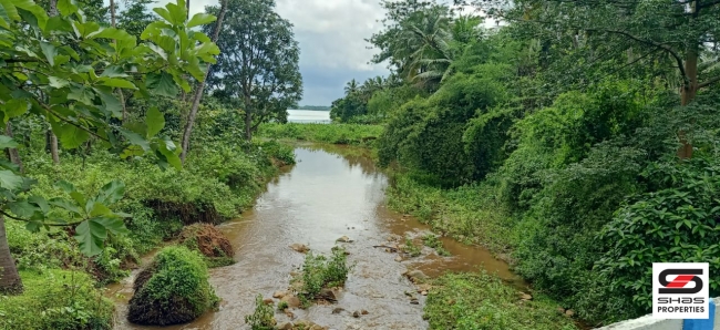 Farmland for sale in Malampuzha, Palakkad