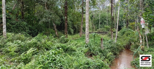 Plot for sale in Old Vythiri, Wayanad