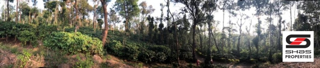 Coffee Estate for sale in Coorg, Karnataka